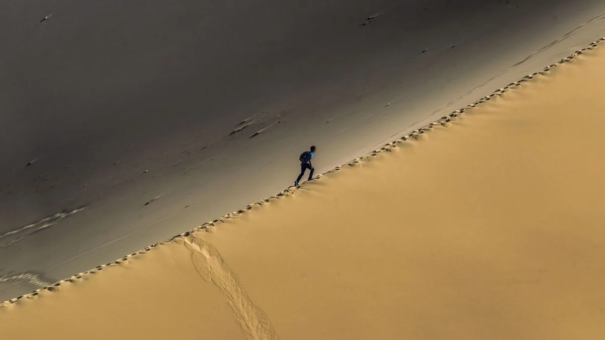Japón y Noruega mezclan madera con arena y descubren que pueden convertir el desierto en hormigón