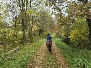 REPORTAGE. Au rythme des sabots, on a testé la balade à cheval pour découvrir autrement les paysages des Alpes mancelles