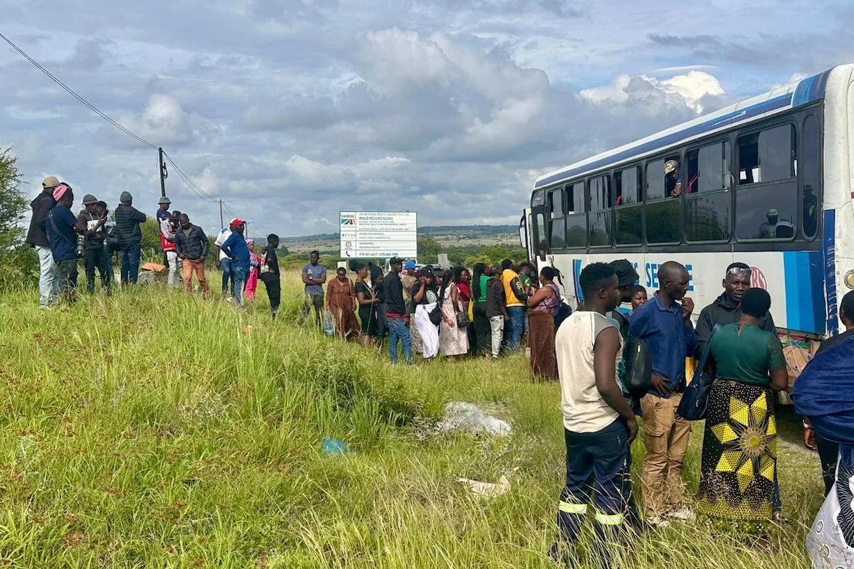 Two buses intercepted on N1 with 65 passengers without passports