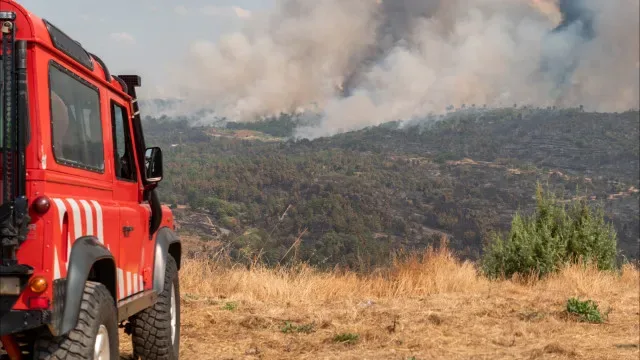 Vinte e quatro concelhos em risco muito elevado de incêndio rural
