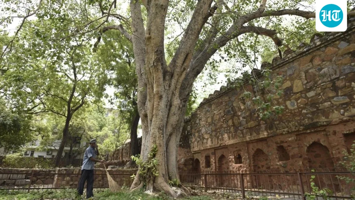 Hauz Khas, Jantar Mantar restrict entry as 10 monuments undergo repair across Delhi