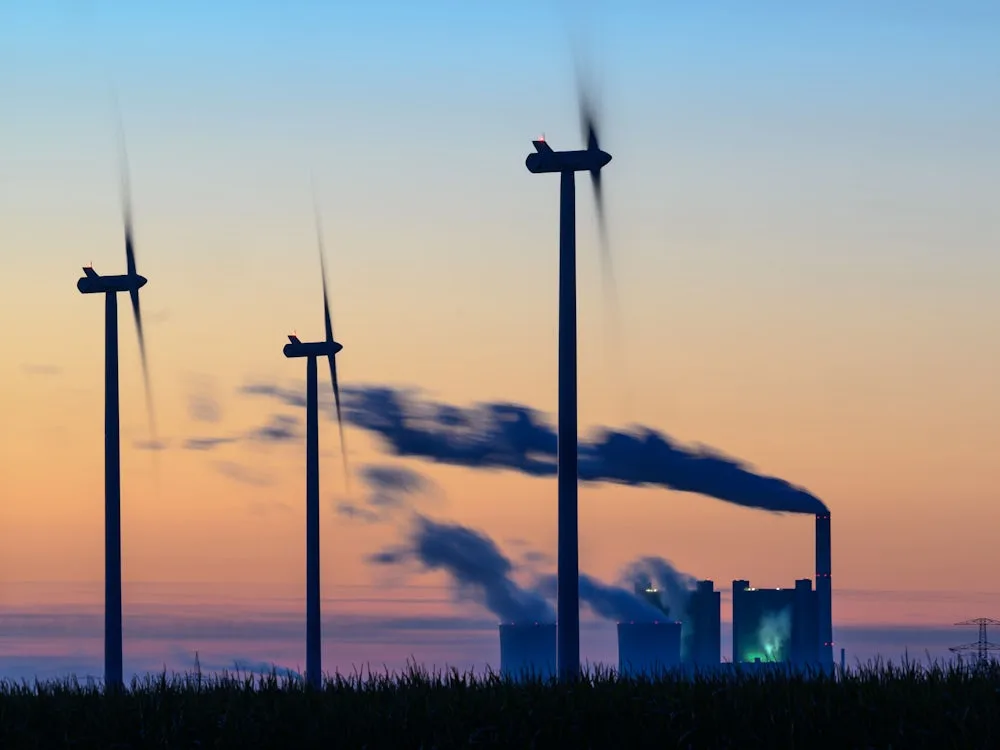 Energiepolitik: So gezielt unterstützt die AfD Windkraftgegner