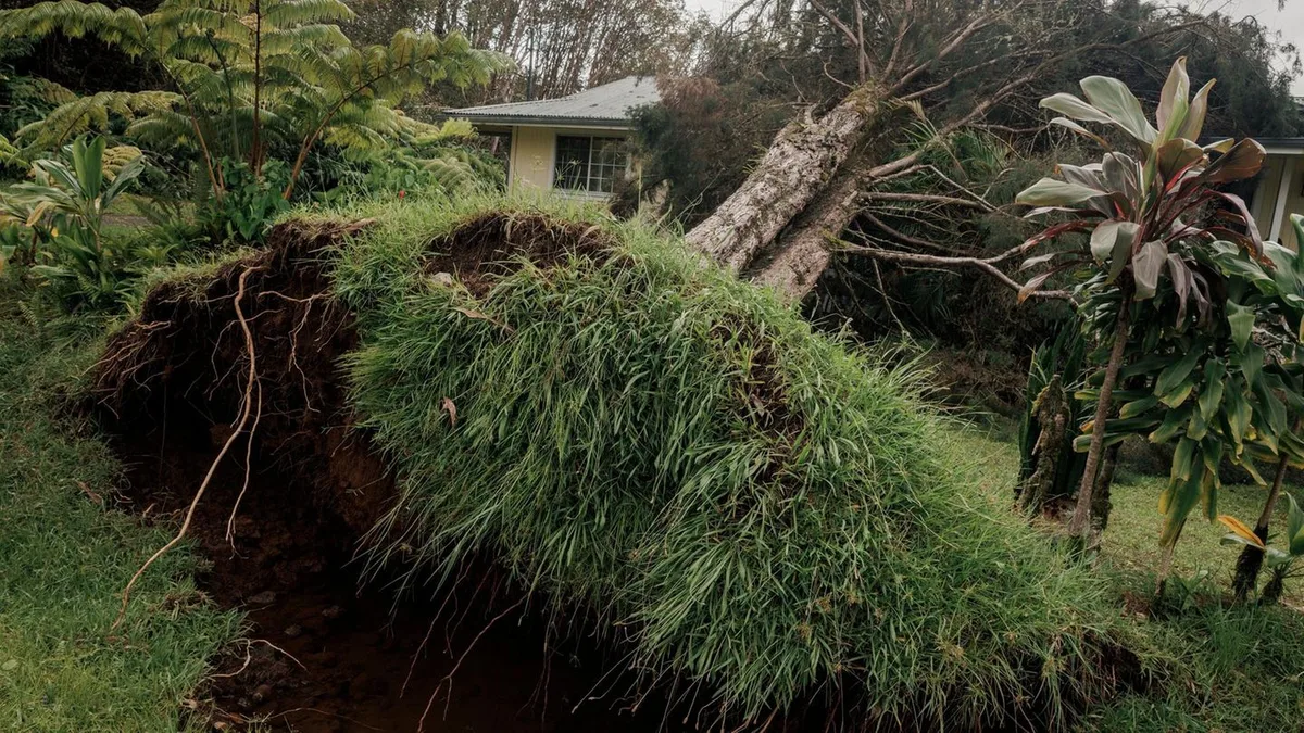 Tropensturm : „Lala“ trifft Hawaii – ein Toter und Hunderttausende ohne Strom