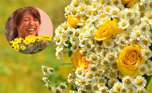 Flores amarillas HOY, 21 de septiembre; ¿por qué se regalan y qué significa esta tradición?