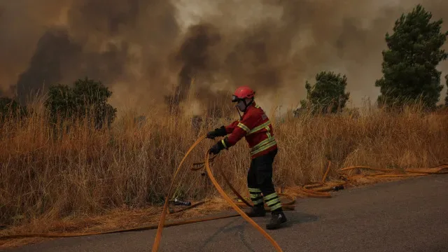 Incêndios: Quase todo o interior Norte e Centro em perigo máximo