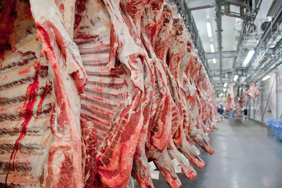 Exportações de carne bovina caem 25,5% em agosto, mas acumulado do ano ainda é positivo