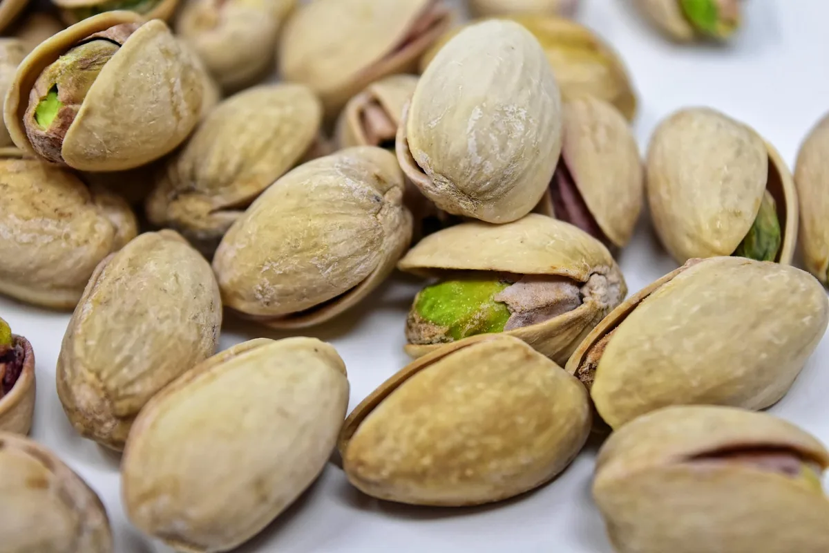 Josep Casas, fundador de Europistachios: “Una plantación de 50 hectáreas en plena producción podría generar alrededor de 900.000 euros”