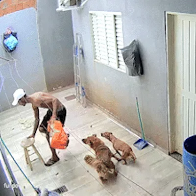 Vídeos mostram sequência de furtos e suspeito circulando com TV pelas ruas