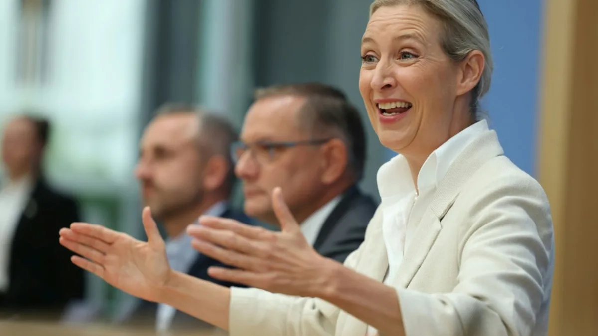 AfD-Chefin Weidel fordert Neuwahlen im Bund