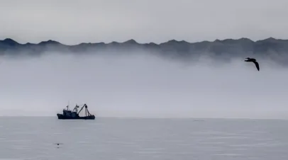 Посольство: моряки с российских судов умерли в КНР по естественным причинам