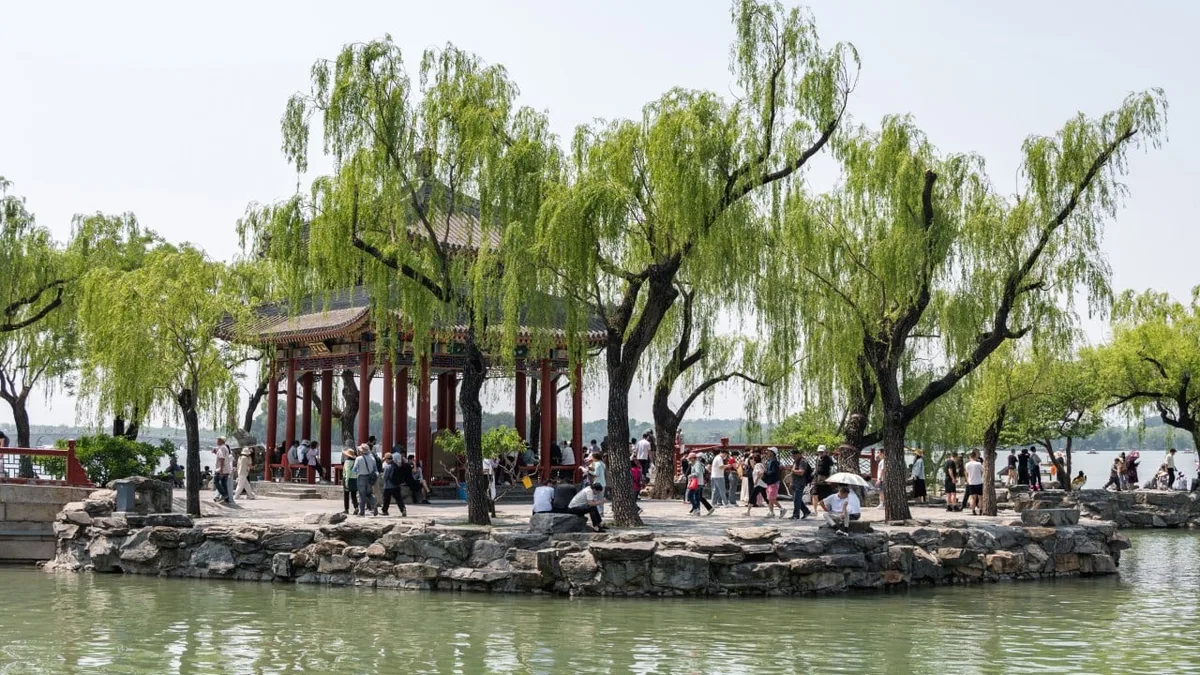 Chinese scientists discover that trees are producing ozone smog in Beijing