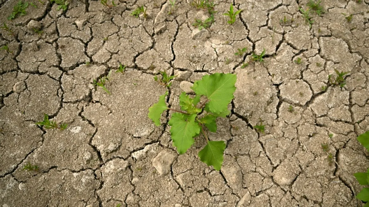 Wasserdefizit in Deutschland: Erholung durch mehr Herbstregen fraglich