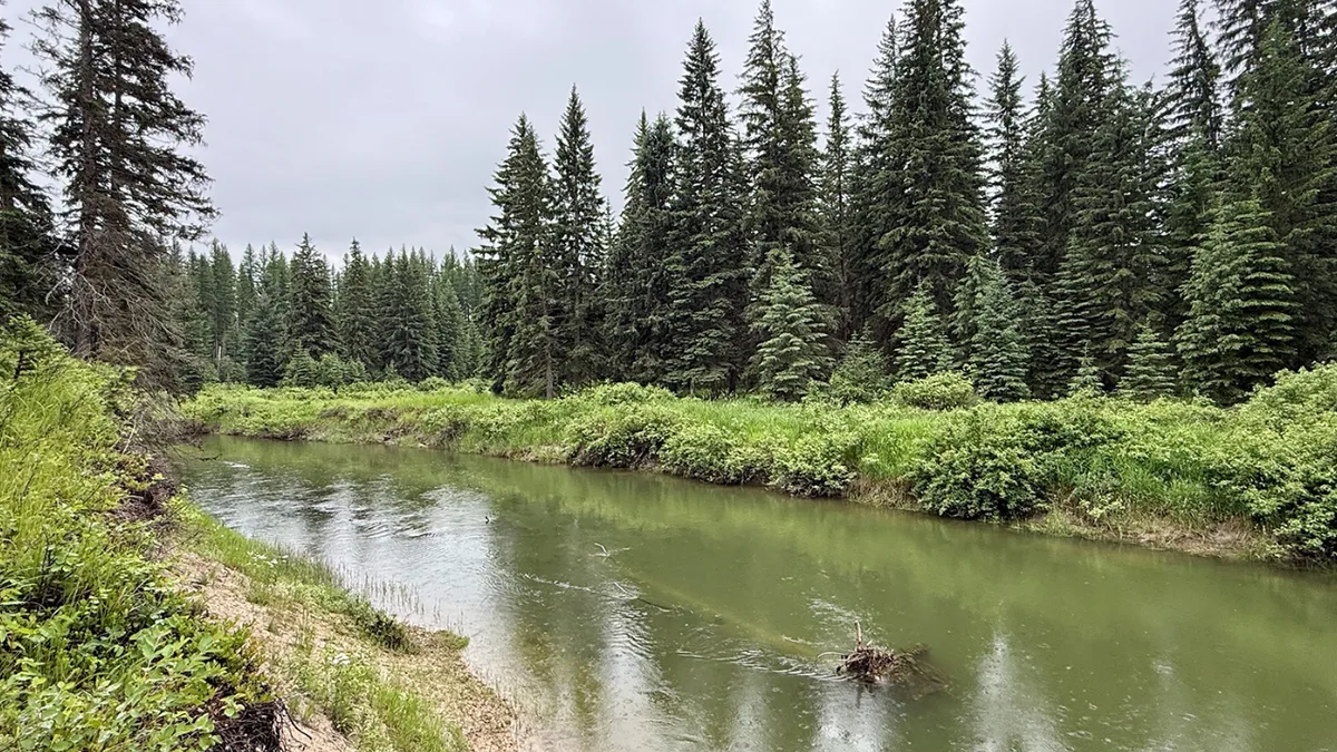 Montana family's 57-acre wildlife haven protected forever
