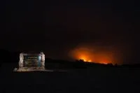 Corpo de Bombeiros resgata mais de 18 mil animais no Rio em oito meses