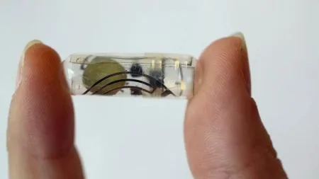 heise+ | Essbare Batterie für Medizintechnik im Magen wird mitverdaut