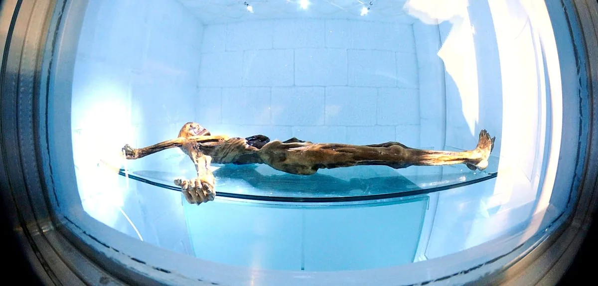 Welche Fragen Ötzi auch 35 Jahre nach seiner Entdeckung noch aufwirft