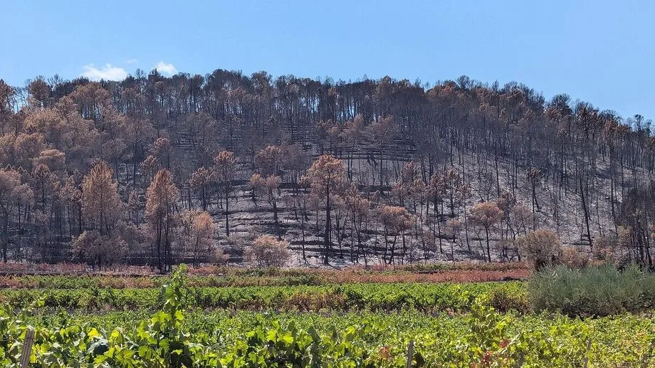 Incendie du Gros Bessillon dans le Var : après un mois de lutte, le feu officiellement éteint