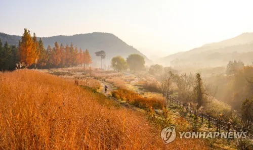 "백두대간 숲길 걸어요"…백두대간 가든 하이킹 10월 열려