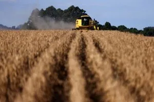 SLC Agrícola (SLCE3) tem alta de 75% no lucro líquido no 2º tri, a R$ 245 milhões