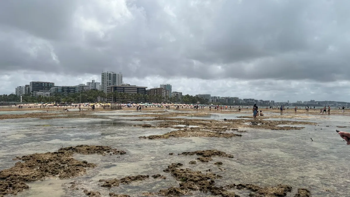 Previsão do tempo em Alagoas: vai chover no fim de semana?