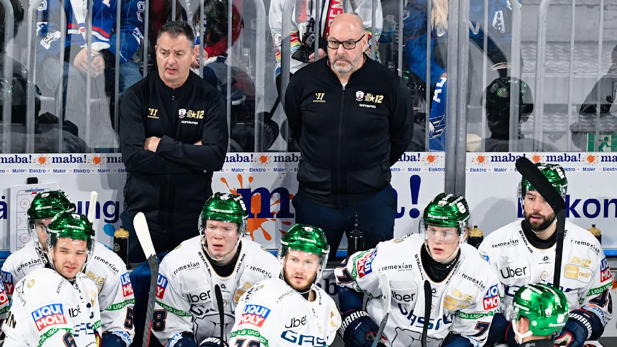 Freitag in Köln - Neuer Stürmer vor Eisbären-Debüt