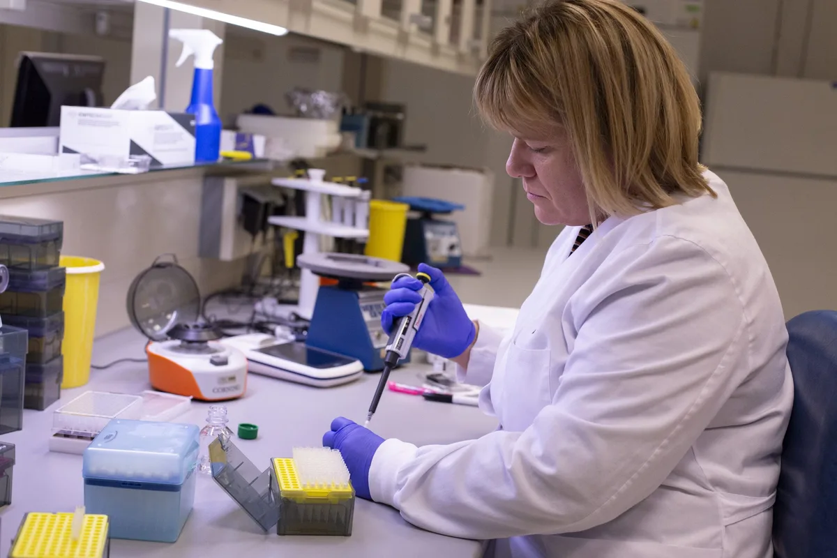 Tests ADN généalogiques : pourquoi la France reste une exception en Europe
