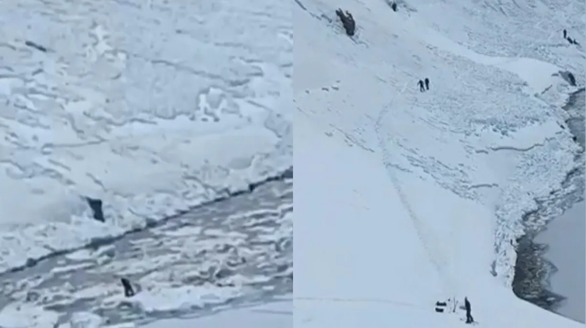 Avalancha fatal en un centro de esquí en Chile: murieron cuatro personas y otras cuatro resultaron heridas