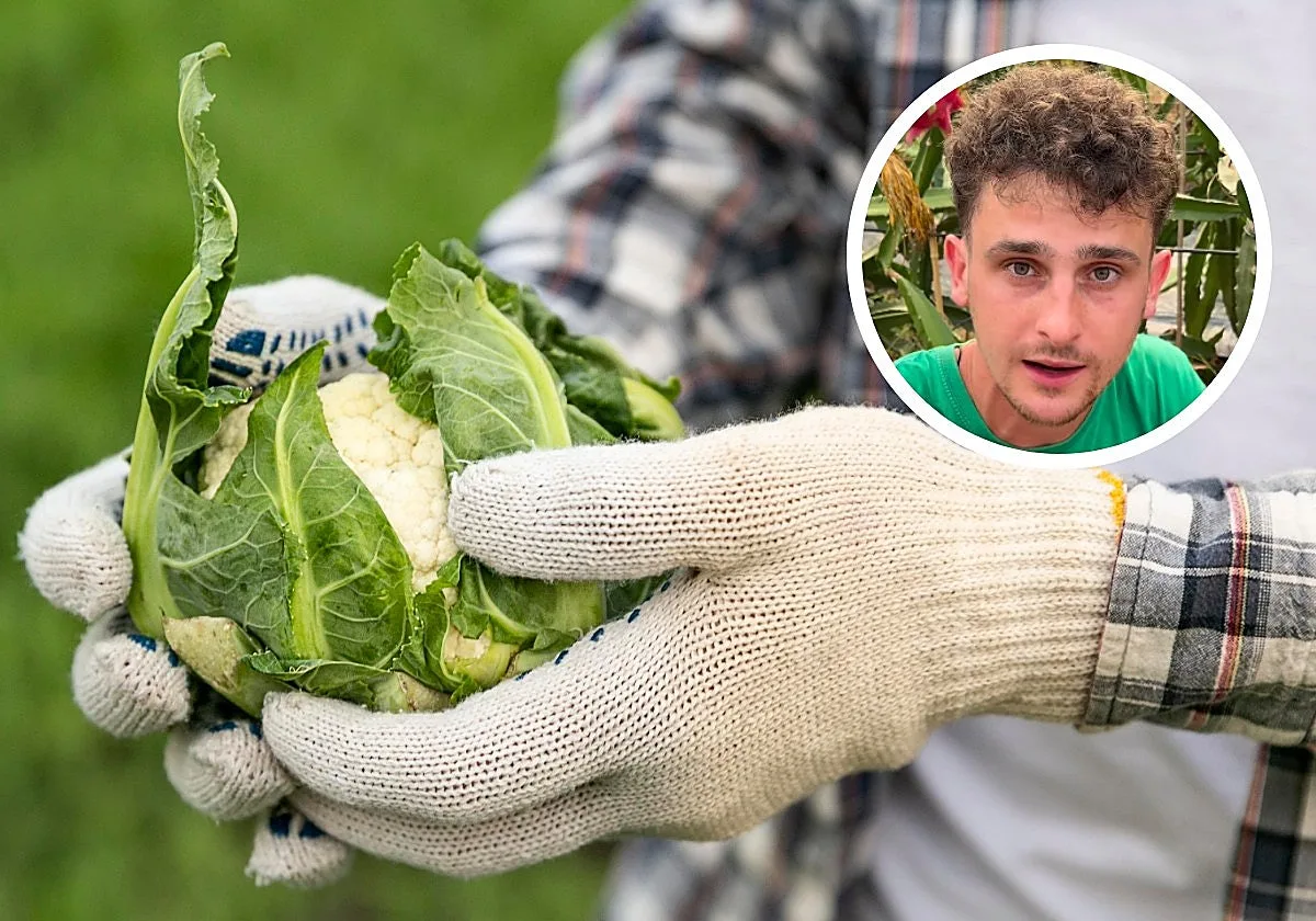 Marc, agricultor de 24 años: «A los 19 invertí los ahorros que había conseguido como jugador profesional de pilota valenciana y me compré dos campos»
