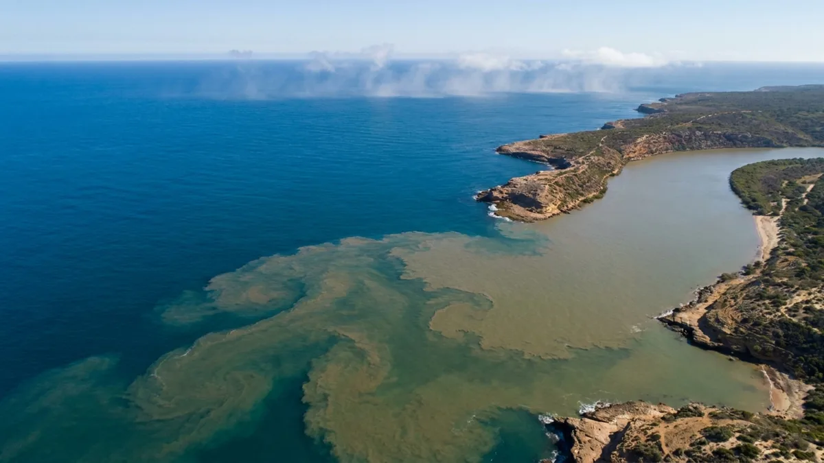 Por que o mar segue salgado se os rios que deságuam nele são de água doce?