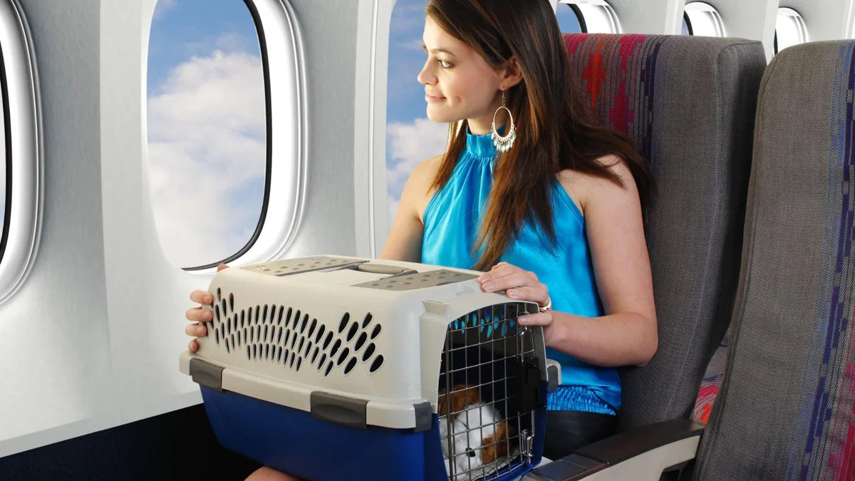 ¿Vas a volar con tu mascota? Todo lo que debes saber sobre modalidades, reglas y trámites