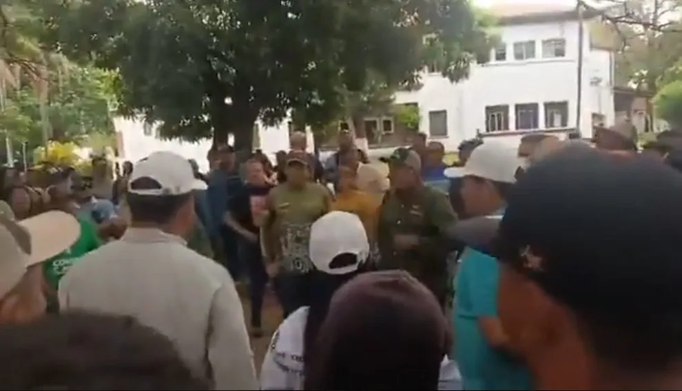 "Estamos cansados de embustes": productores de arroz exigen que Padrino López atienda la crisis agraria