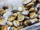Urgent shutdown of shellfish harvesting issued after multiple people are sickened with life-threatening bacteria