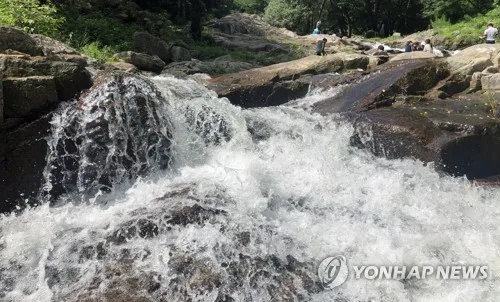 팔공산 계곡 70년 불법기도터 철거했더니…담비·참매 돌아왔다