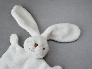 Charente-Maritime. Un « doudou Lapin » retrouvé « sain et sauf », un enfant écrit aux gendarmes pour les remercier