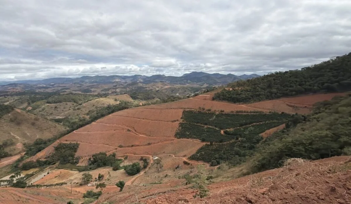 Desmatamento: operação aplica R$ 656 mil em multas em três cidades do ES