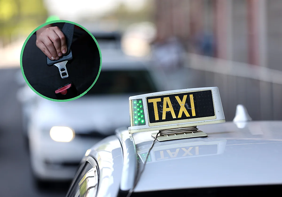 La DGT se pone seria y obliga a todos los conductores a llevar el cinturón de seguridad: solo hay una excepción