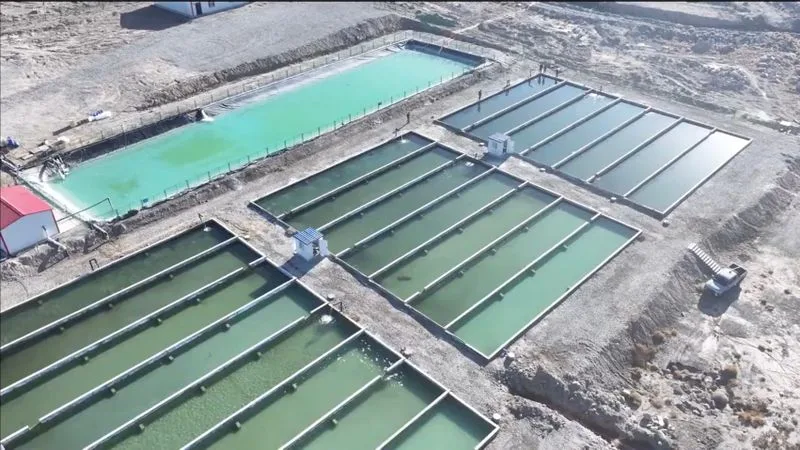 OUTLAW OCEAN PROJECT: SA helps feed China’s huge desert fish-farming boom