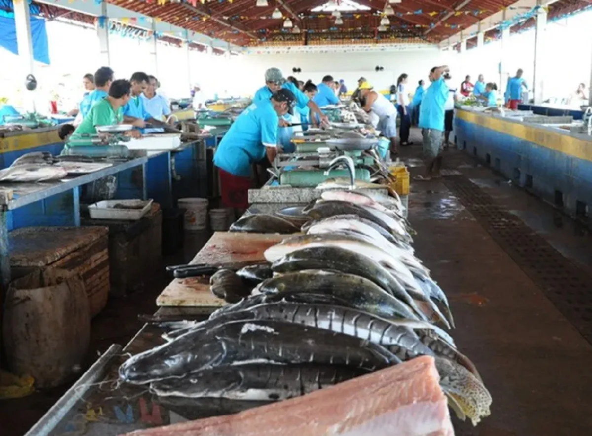 Feira do Pescado de Santarém receberá reforma e ampliação de R$ 2,3 milhões