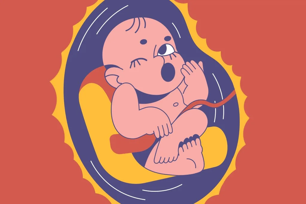 Por que bebês bocejam dentro da barriga da mãe?