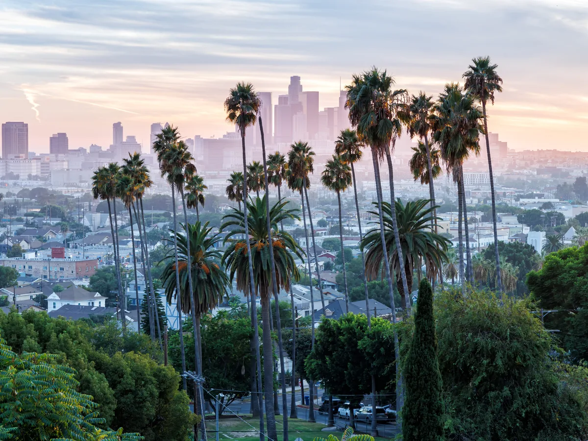See where aspiring entrepreneurs are showing the most interest in starting a business, ranked