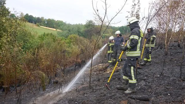 Wenn ein Wald in Flammen steht: Drei Waldbrände und ihre Lehren für den nächsten Ernstfall