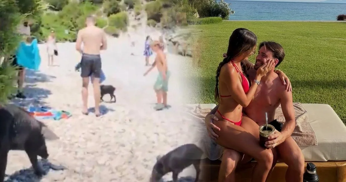El incidente de Tagliafico y su esposa en plenas vacaciones y ¡con cerdos salvajes!