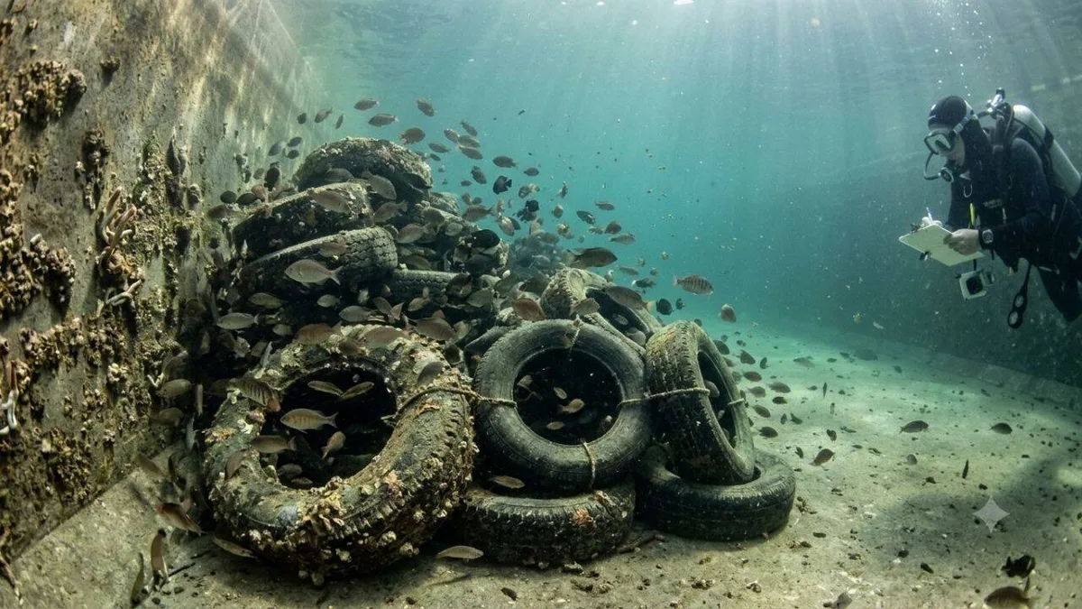 California and Arizona turned old tyres into reefs and found 20 times more fish
