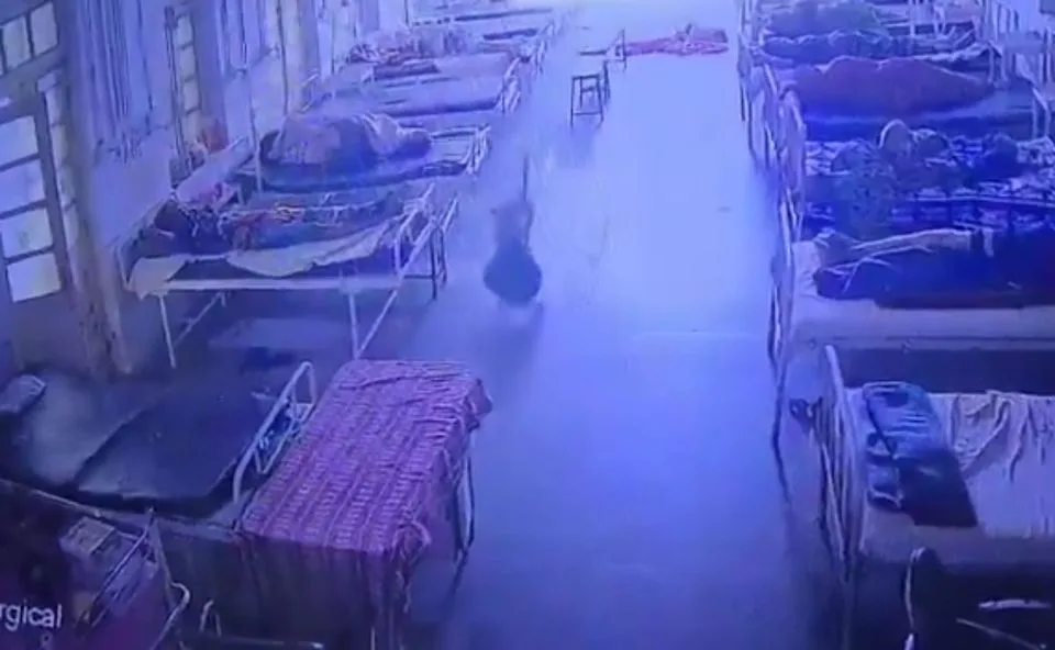 Ladrão canino! Cachorro “furta” bolsa com joias e dinheiro avaliados em R$ 21 mil dentro de hospital e mobiliza polícia; veja vídeo