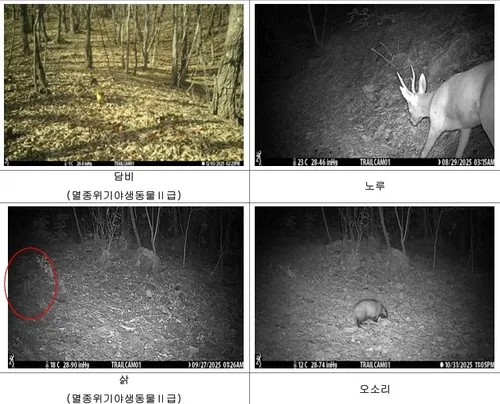 대둔산에 멸종위기종 등 1천648종 서식…국내 미기록종도 발견