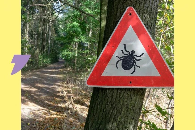 Pourquoi les tiques sont accros aux traileurs, et comment les éviter
