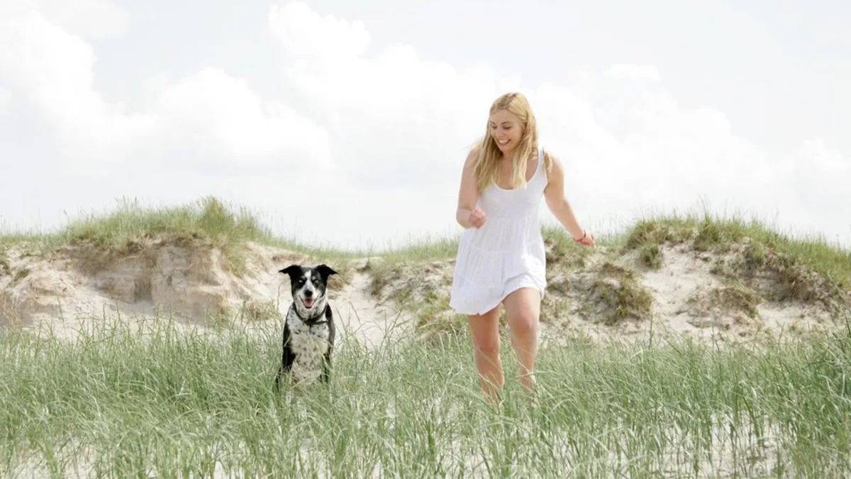 Urlaub mit Hund: Diese Fehler sollten Halter vermeiden