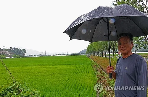 남부권 집중호우에 경남 농업용수 저수율 쑥…가뭄 해갈 단계(종합)