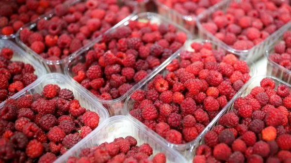 Продажи редьки и малины выросли в 2 и 1,5 раза в начале сезона простуд