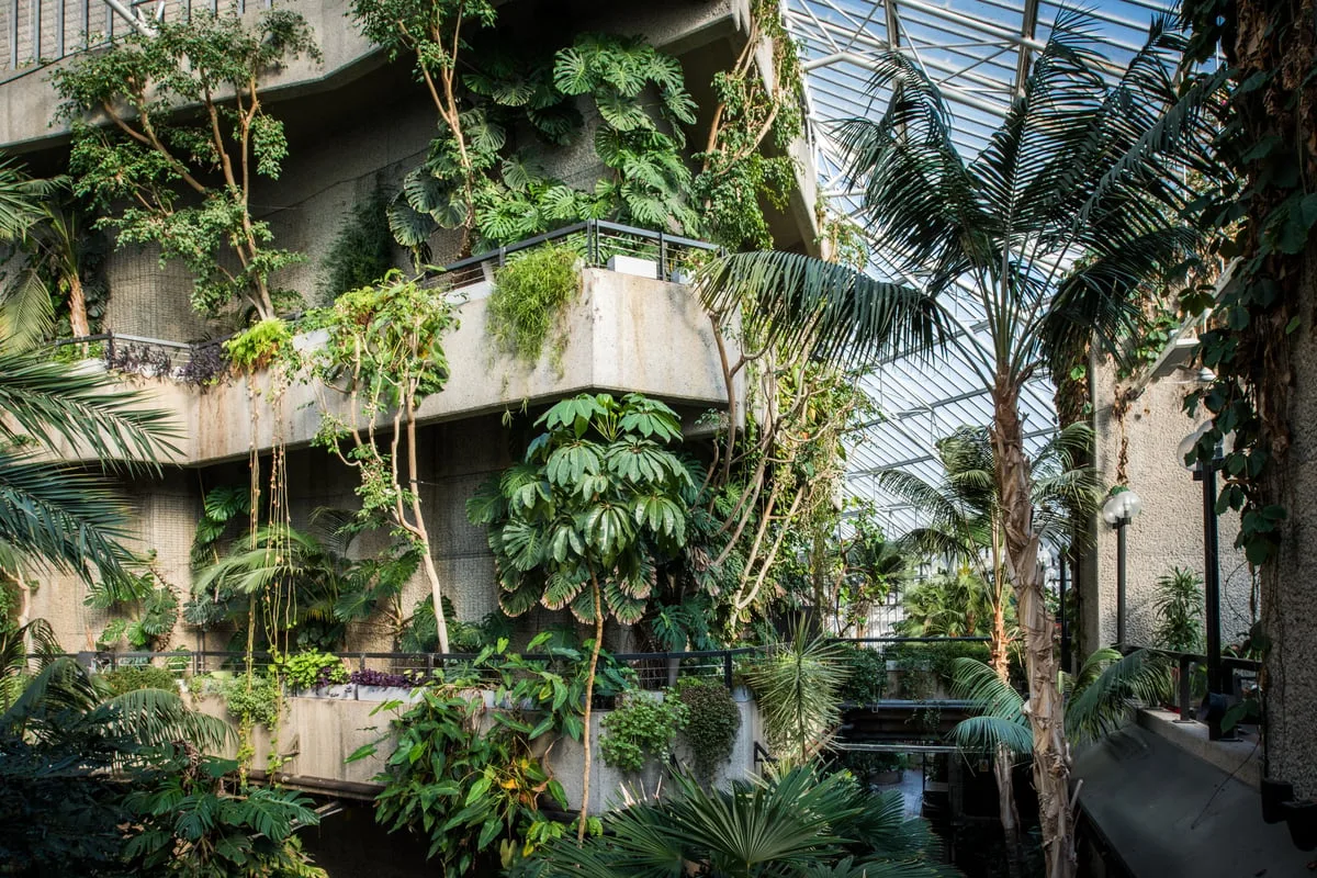 Barbican to give away 2,000 free cuttings - here's how to get one